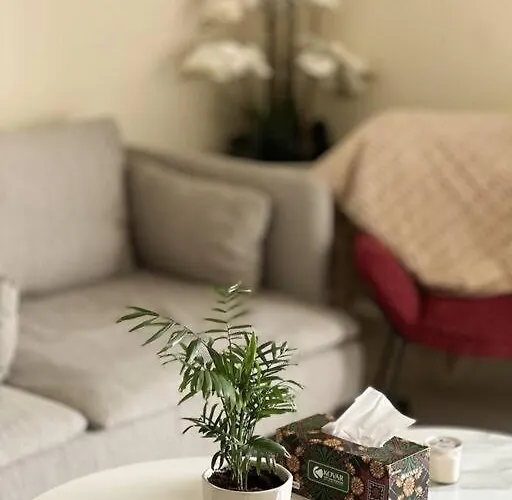 Cozy Corner Apartment
