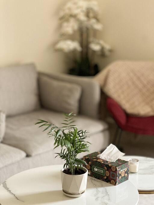 Cozy Corner * Dubai
